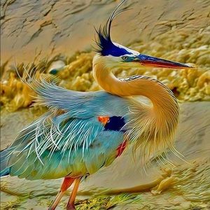 Meet your Posher, Heather